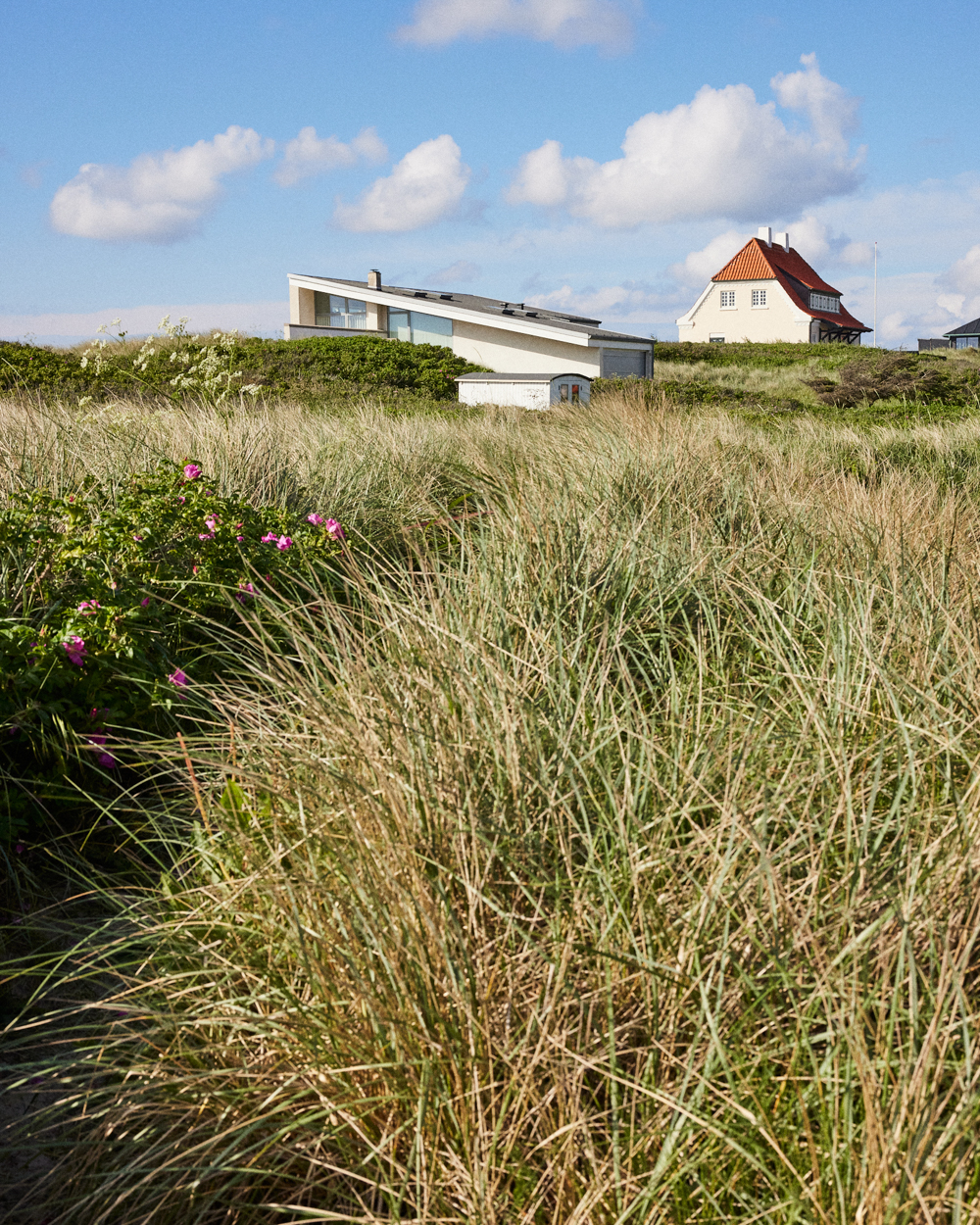 a grass field with a house in the background