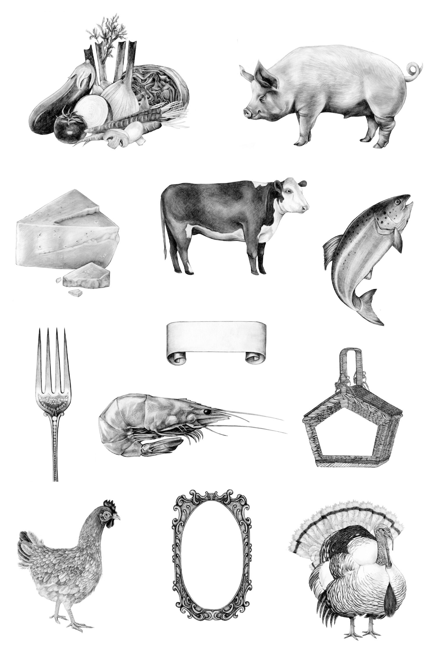 a collage of various animals