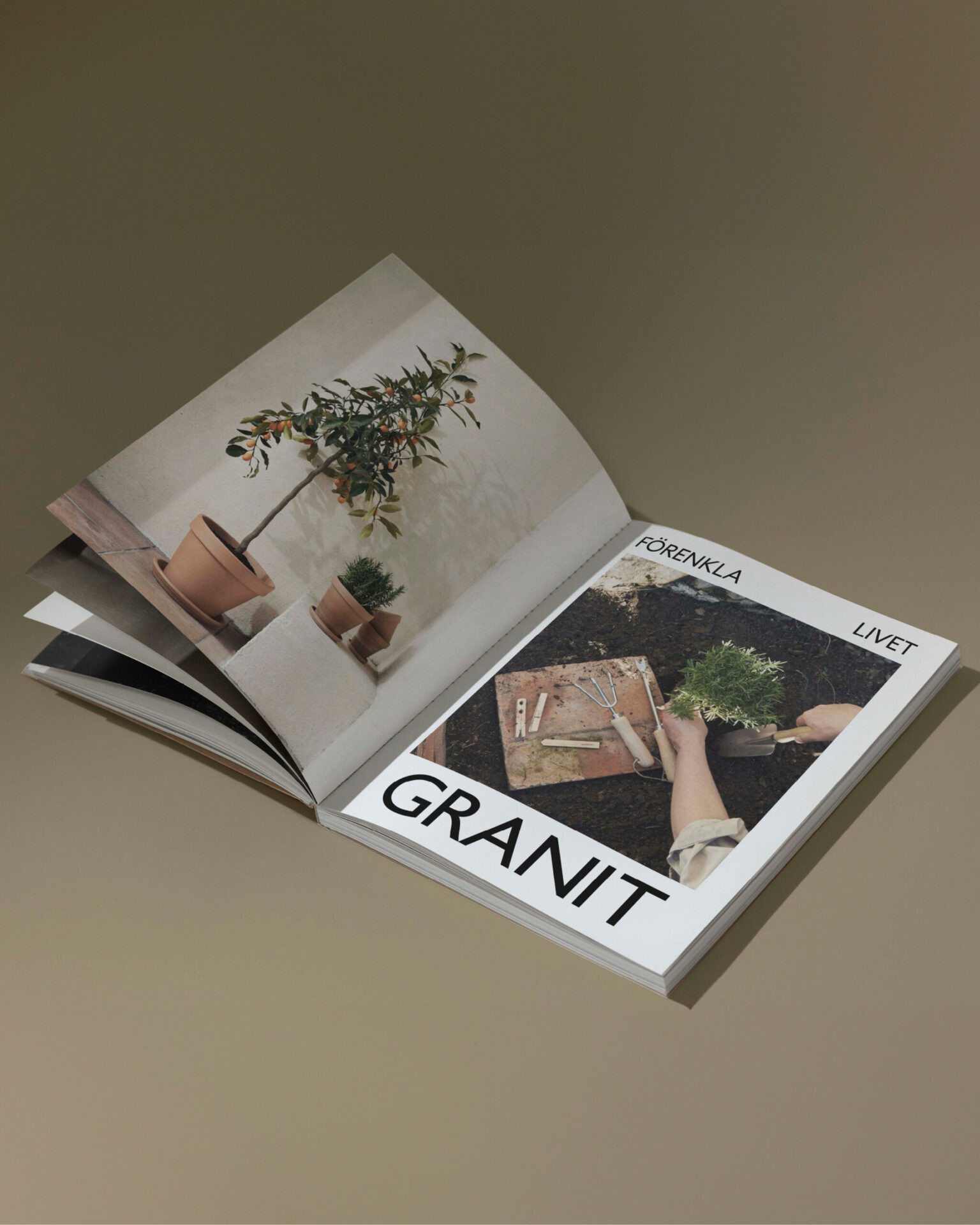 a book open with a picture of a plant