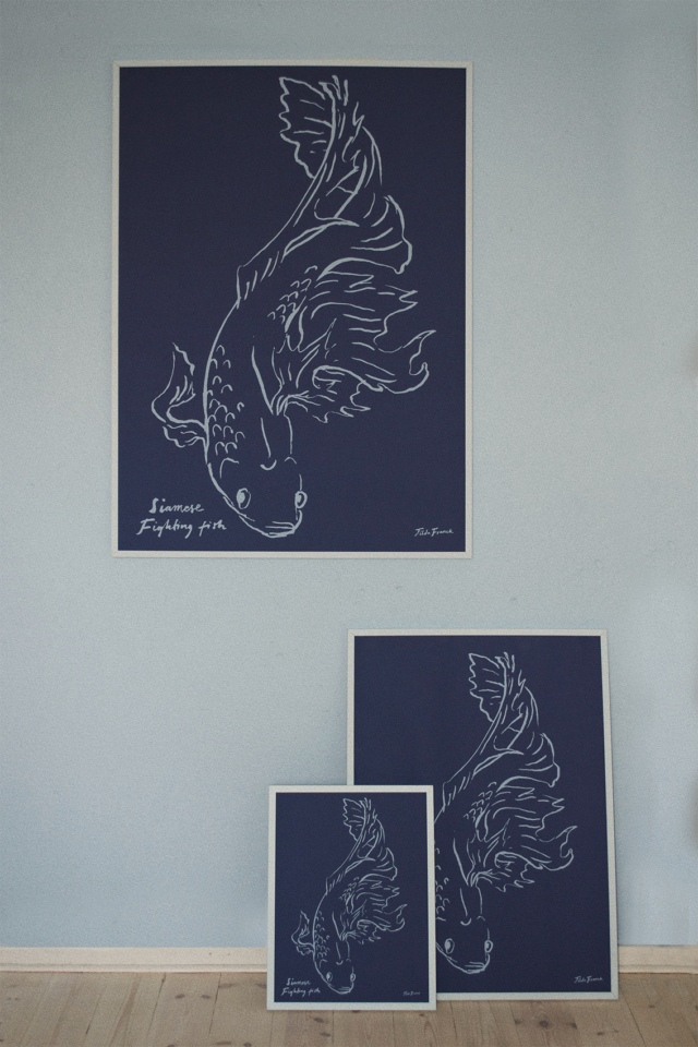 a group of pictures on a wall