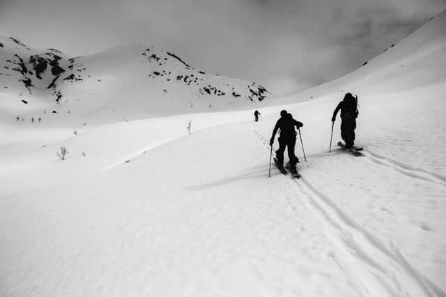 a group of people skiing down a snowy mountain