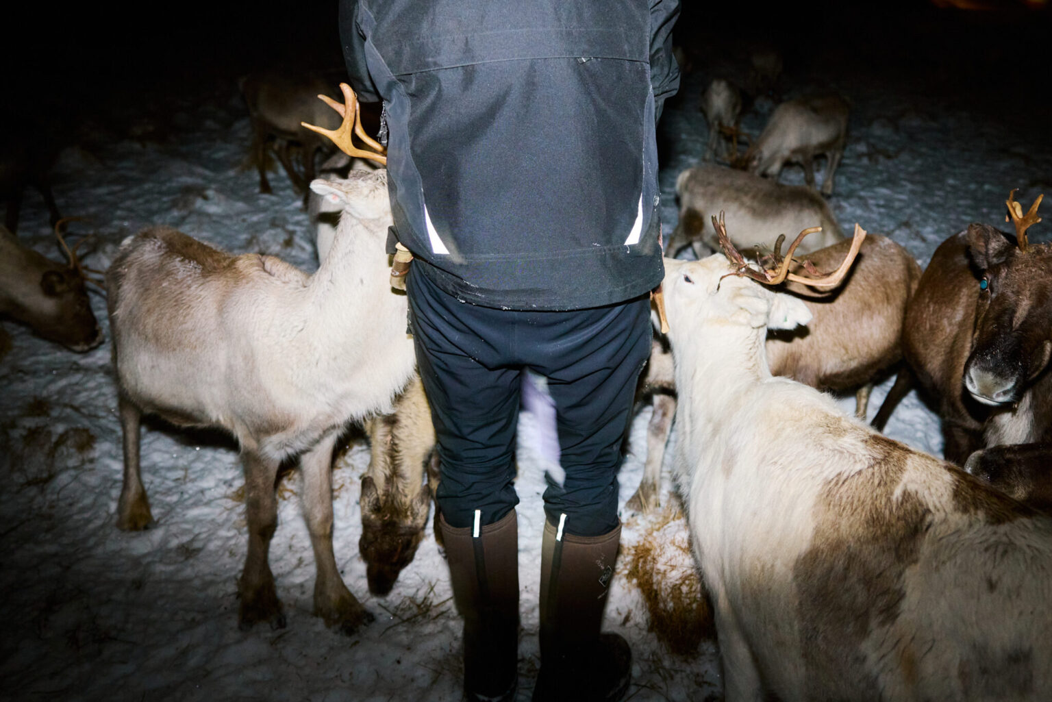 a person standing in the snow with antlers
