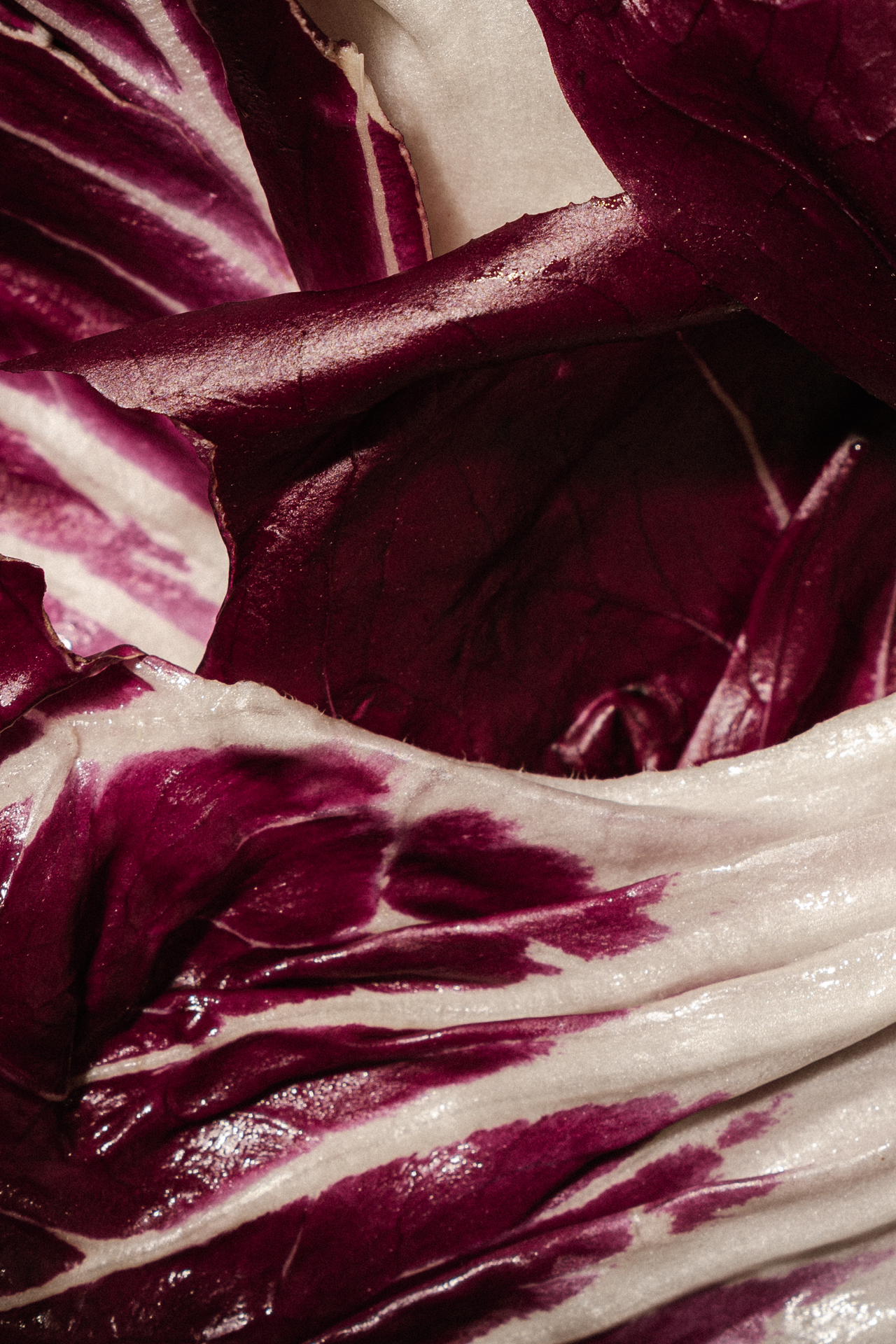 a close up of a leafy vegetable