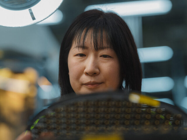 a woman looking at a computer