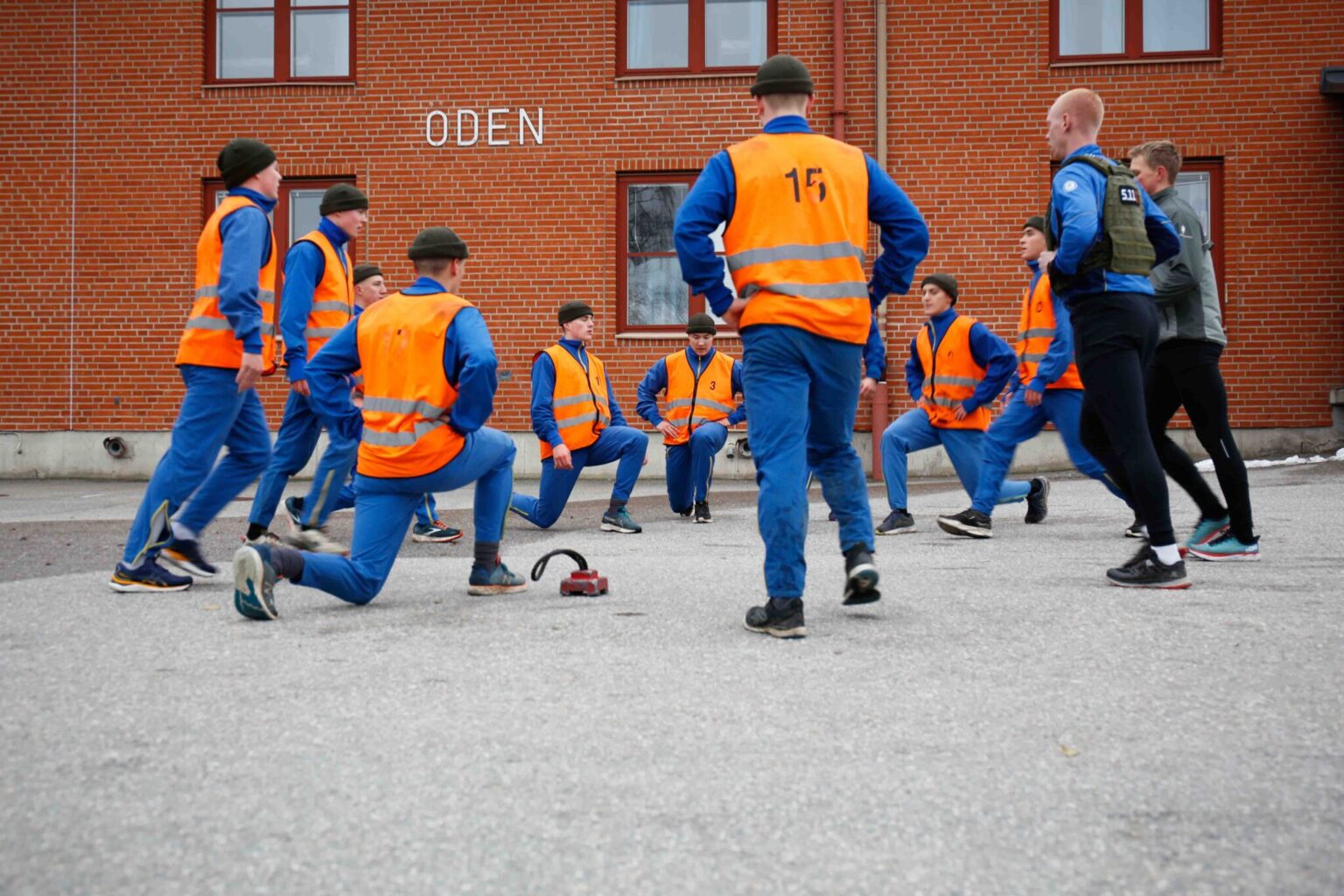 Mönstringshandboken