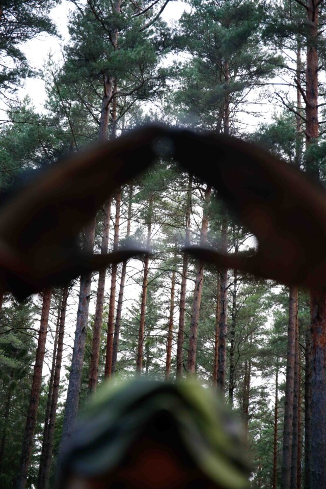 Mönstringshandboken