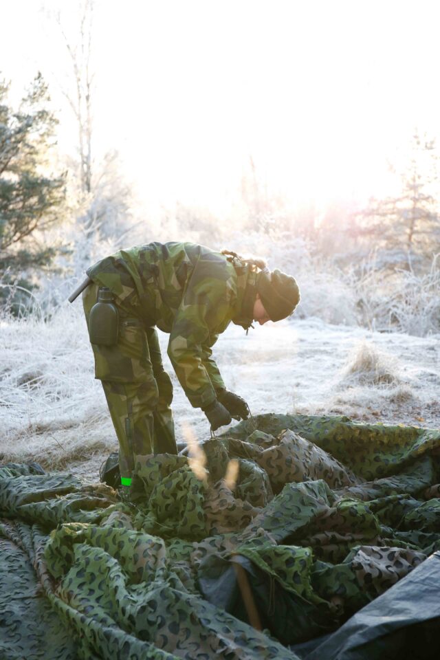 Mönstringshandboken