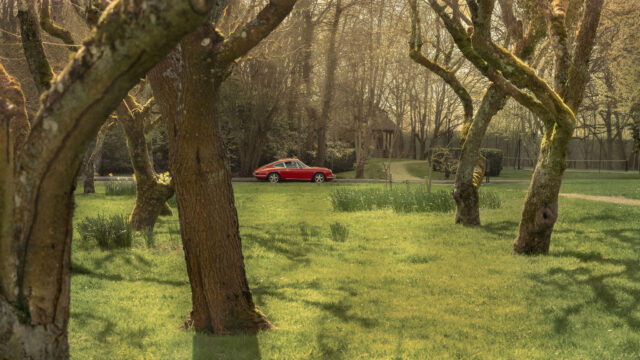 A red classic car parked on a grassy lawn, framed by mossy trees in a park setting.