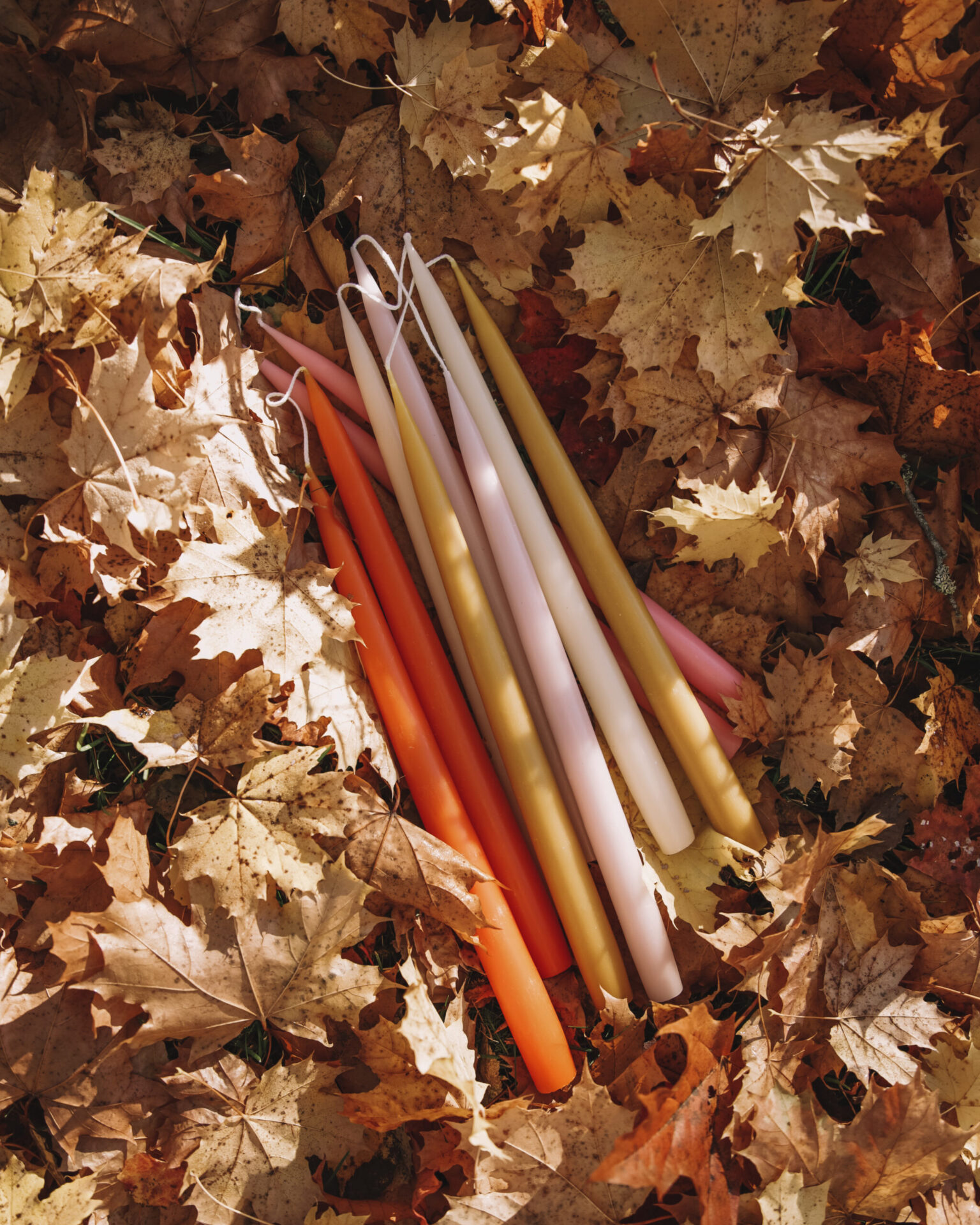 Taper candles in autumn leaves.