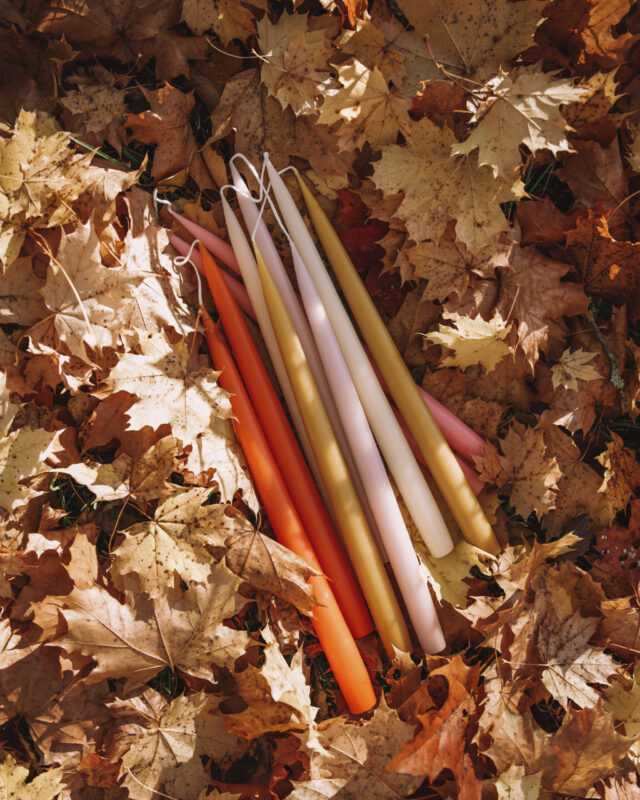 Taper candles in autumn leaves.