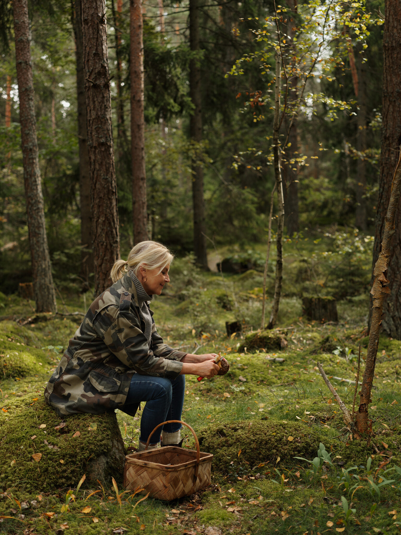 Lantliv Skog