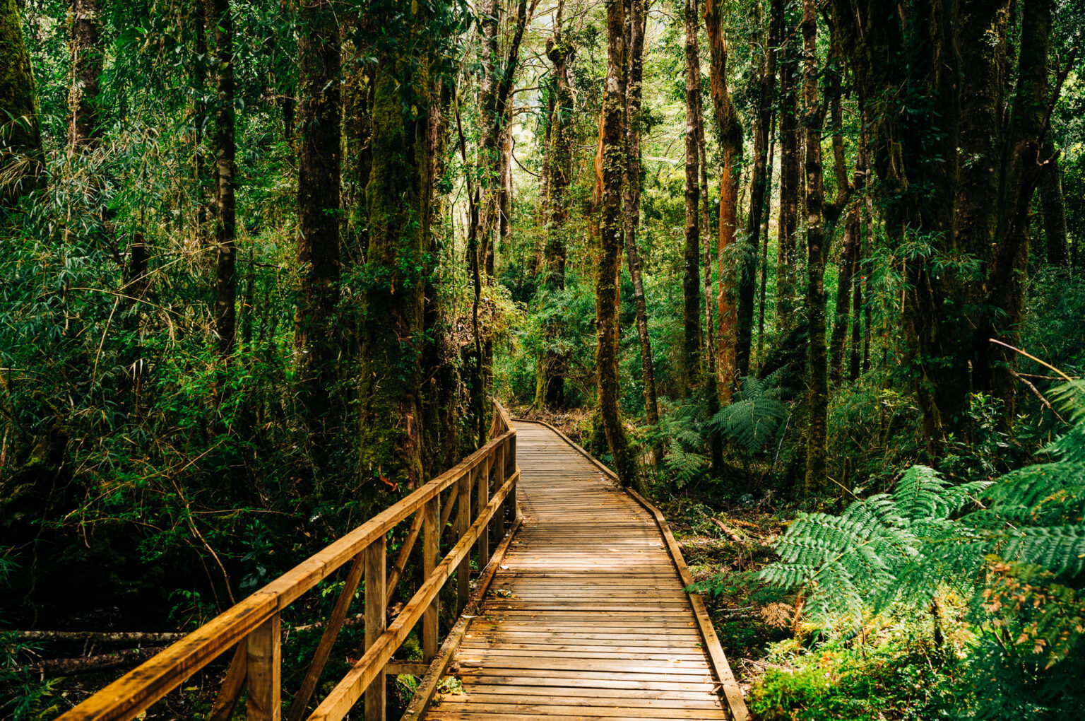 Personal work Chile/Argentina