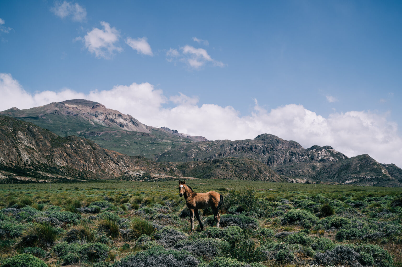 Personal work Chile/Argentina