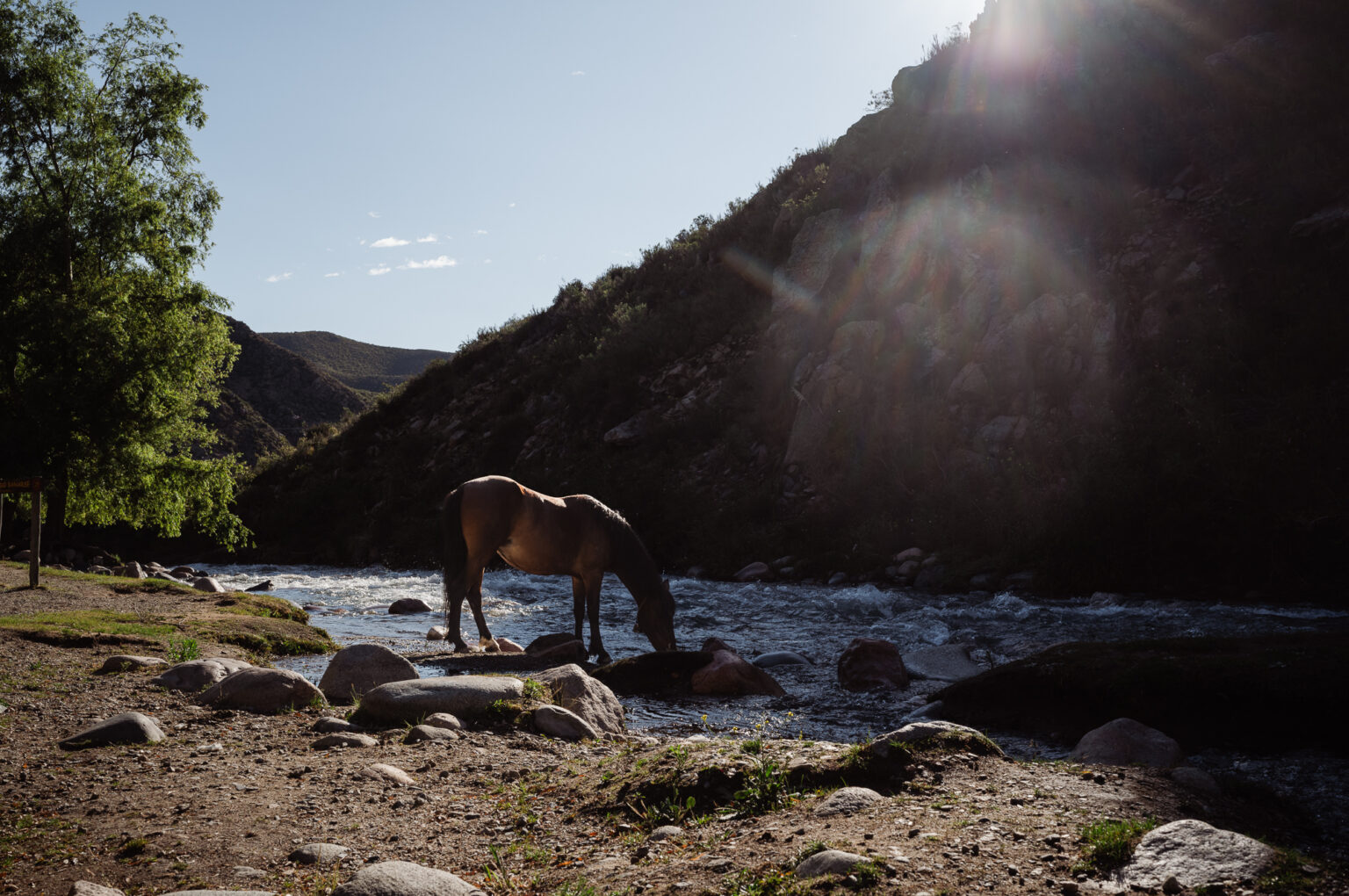 Personal work Chile/Argentina