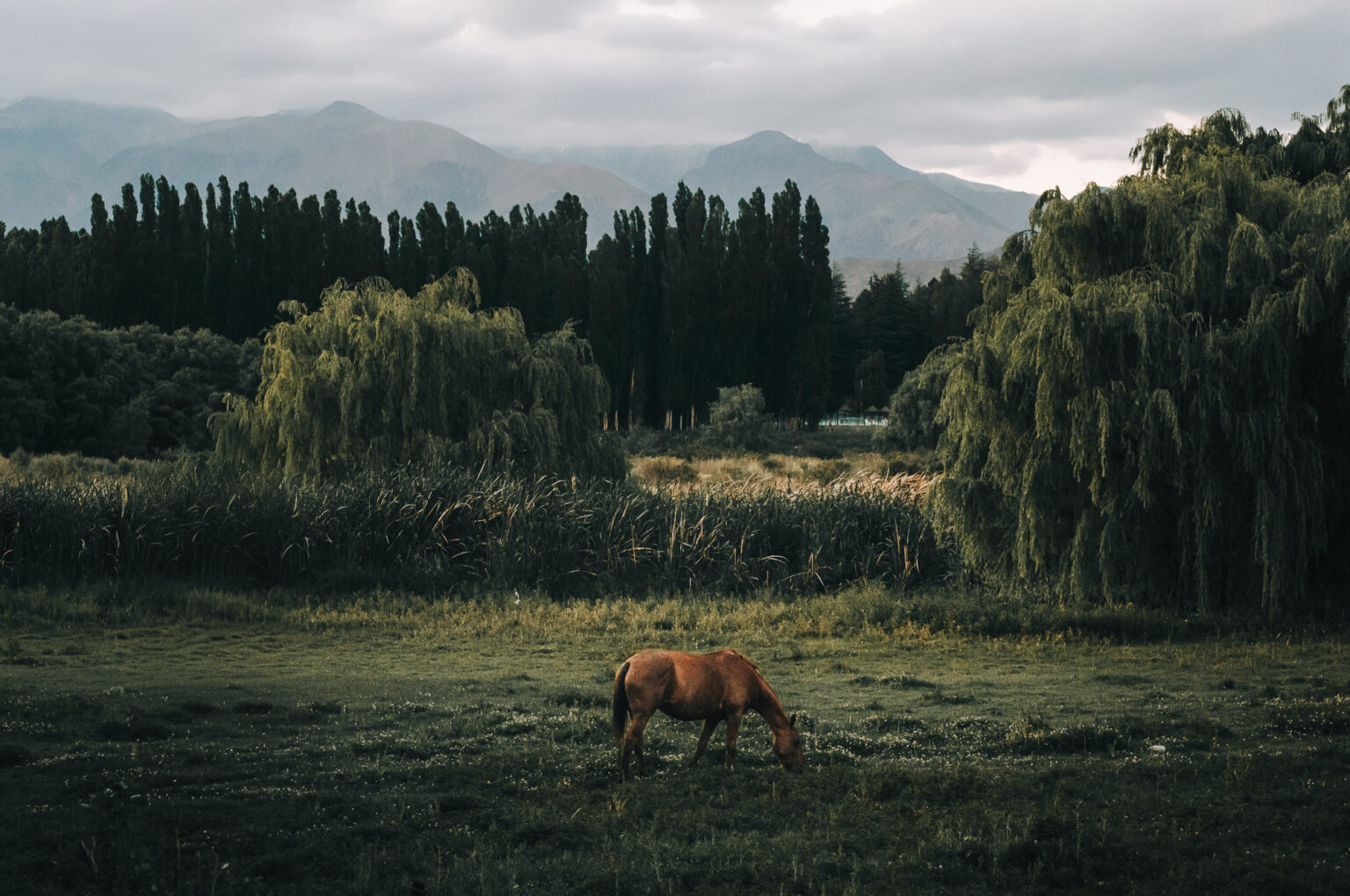 Personal work Chile/Argentina