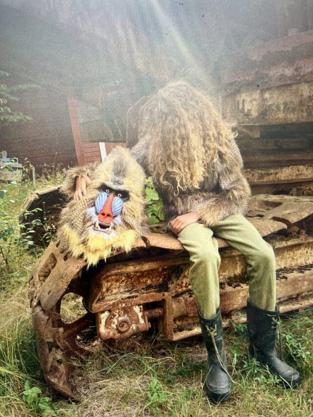 Eget projekt - Mandrillen