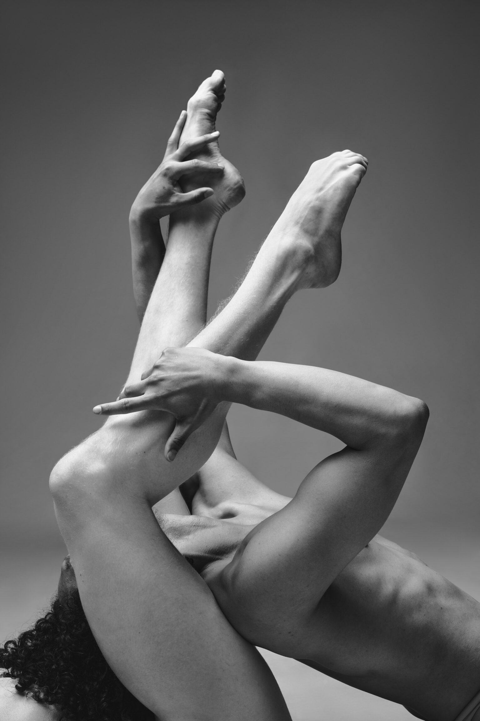 Profoto