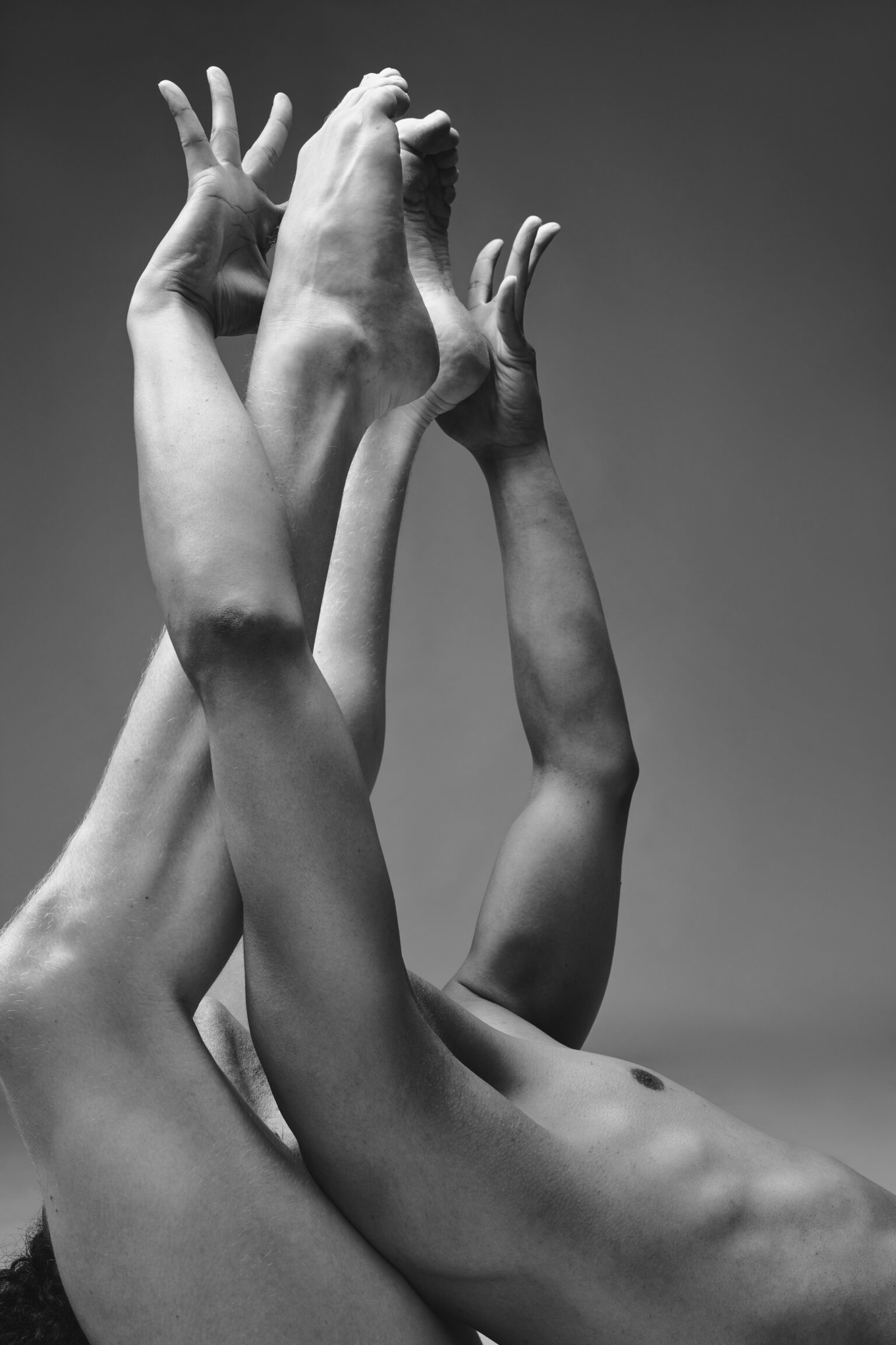 Profoto