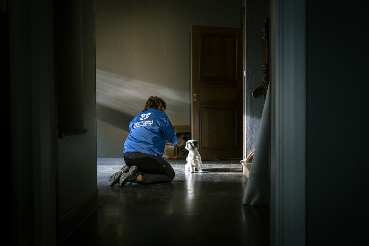 Hundstallet