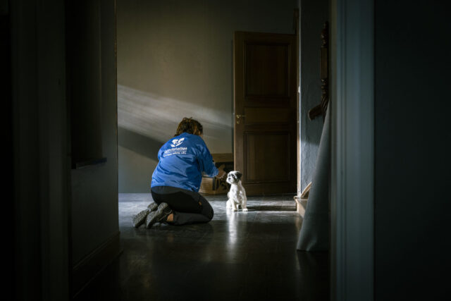 Hundstallet
