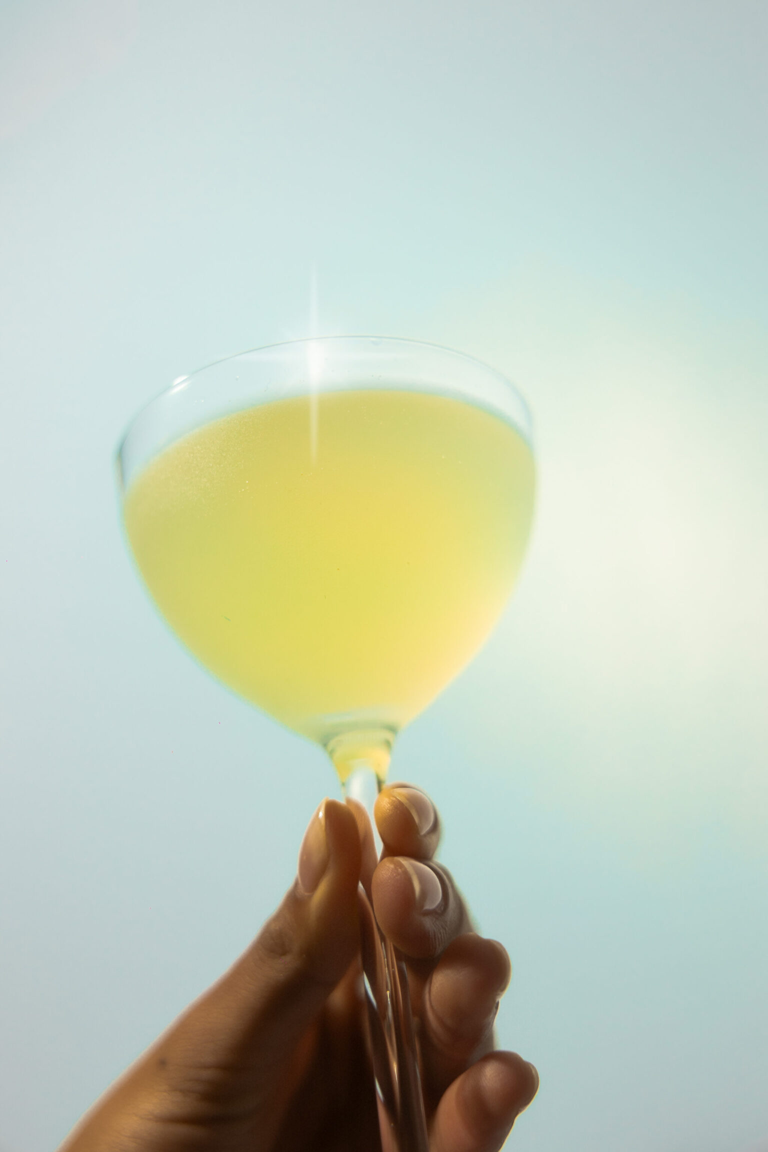 MALFY Gin